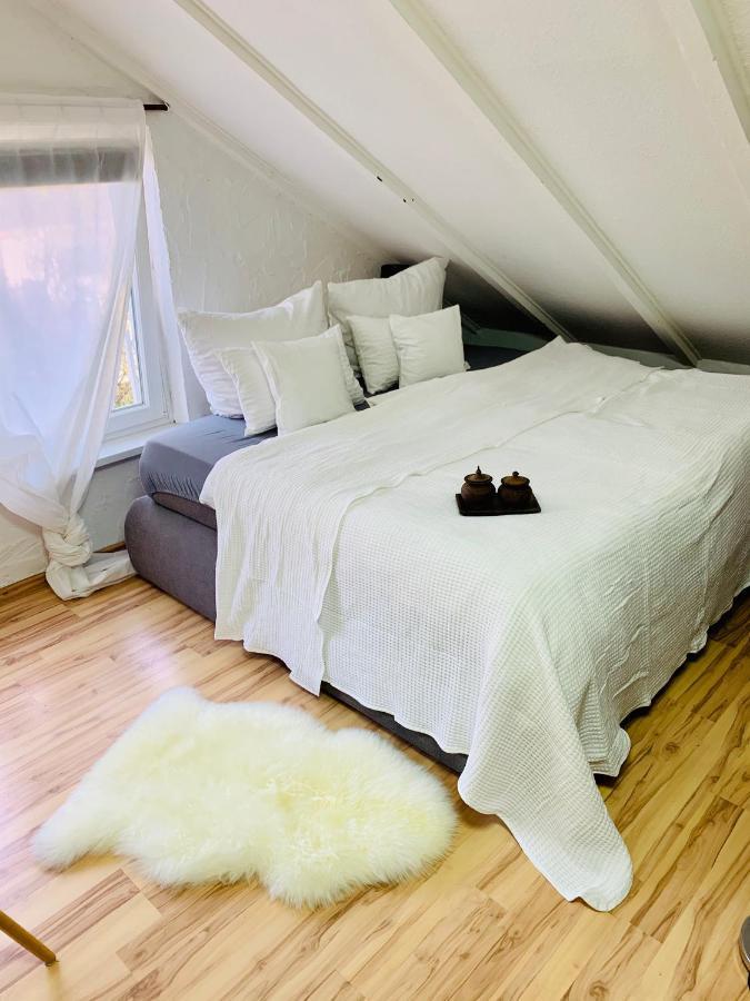 Studio Apartment In Direkter Naehe Zur Uniklinik Homburg Хомбург Экстерьер фото