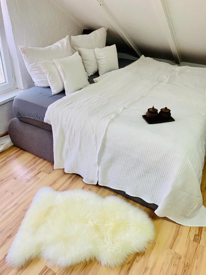 Studio Apartment In Direkter Naehe Zur Uniklinik Homburg Хомбург Экстерьер фото