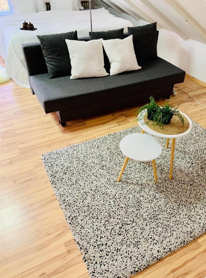 Studio Apartment In Direkter Naehe Zur Uniklinik Homburg Хомбург Экстерьер фото