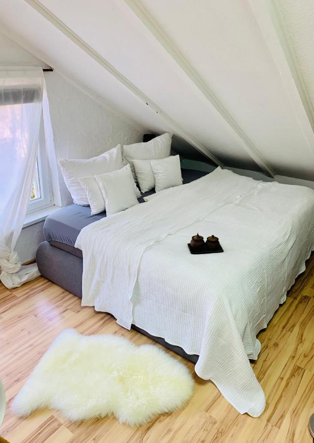 Studio Apartment In Direkter Naehe Zur Uniklinik Homburg Хомбург Экстерьер фото