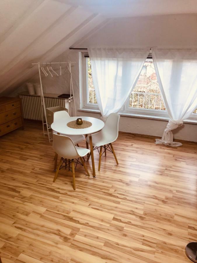 Studio Apartment In Direkter Naehe Zur Uniklinik Homburg Хомбург Экстерьер фото